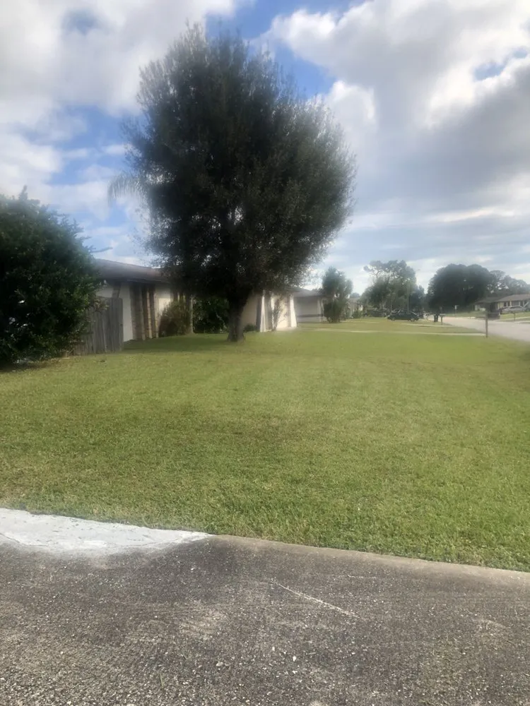 Affordable landscaping services for homes across Palm Bay, FL - Worry No Mow