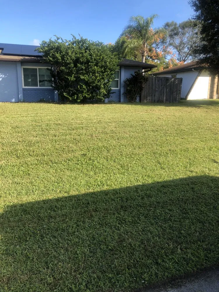 Custom yard cleanup service in Palm Bay, FL by Worry No Mow