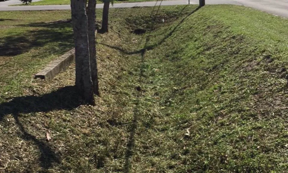 Local yard cleanup service in Palm Bay, FL - Worry No Mow