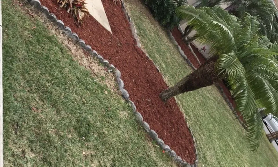 Top-rated lawn care service experts serving Palm Bay, FL - Worry No Mow