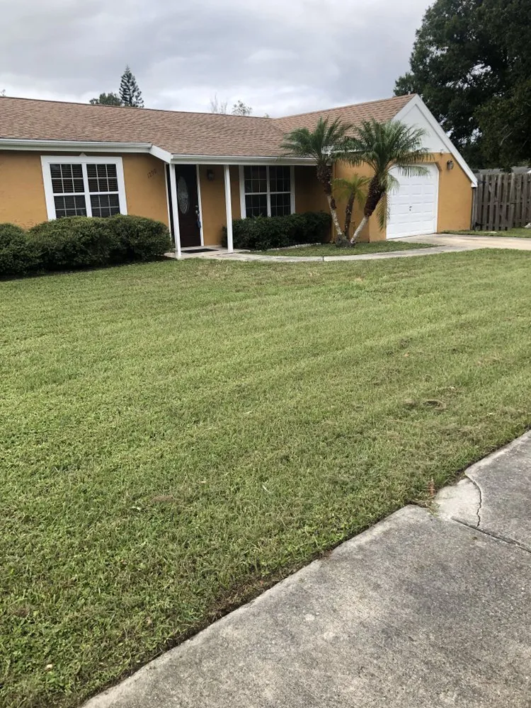 Reliable lawn care service for homes across Palm Bay, FL - Worry No Mow