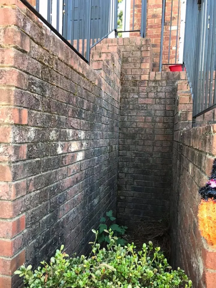 Top-rated outdoor landscaping in Social Circle, GA by Worsham Landscaping and Pressure Washing