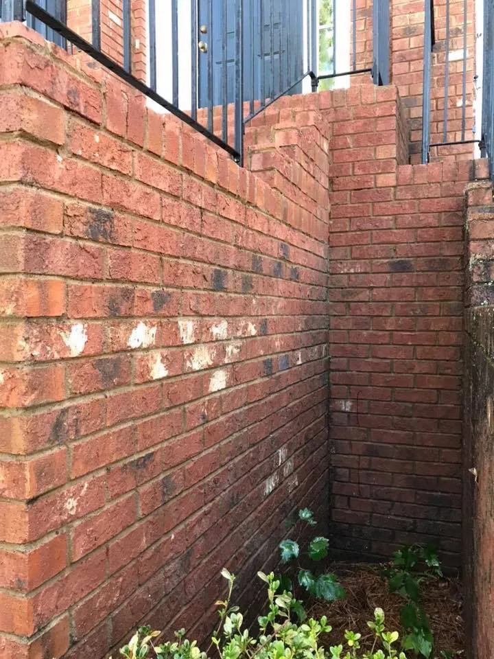 Expert landscape design for year-round maintenance in Social Circle, GA by Worsham Landscaping and Pressure Washing