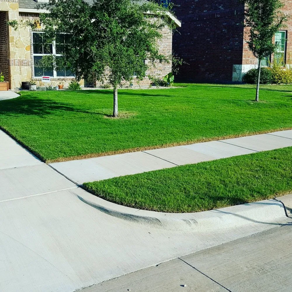 Top-rated yard maintenance in Burleson, TX - Worsham's Lawn Service