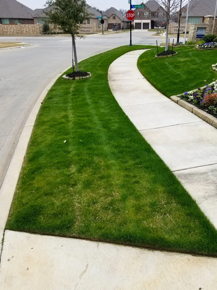 Top-rated yard cleanup service experts serving Burleson, TX - Worsham's Lawn Service