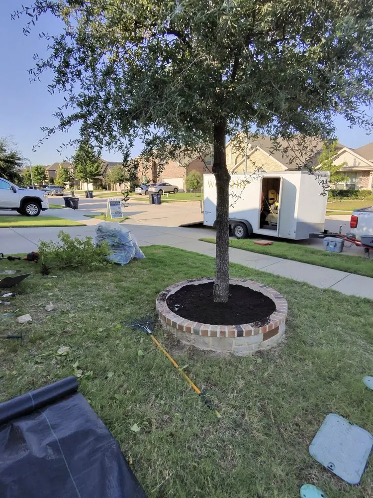 Top-rated lawn mowing service for year-round maintenance in Fort Worth, TX by Worship Landscaping