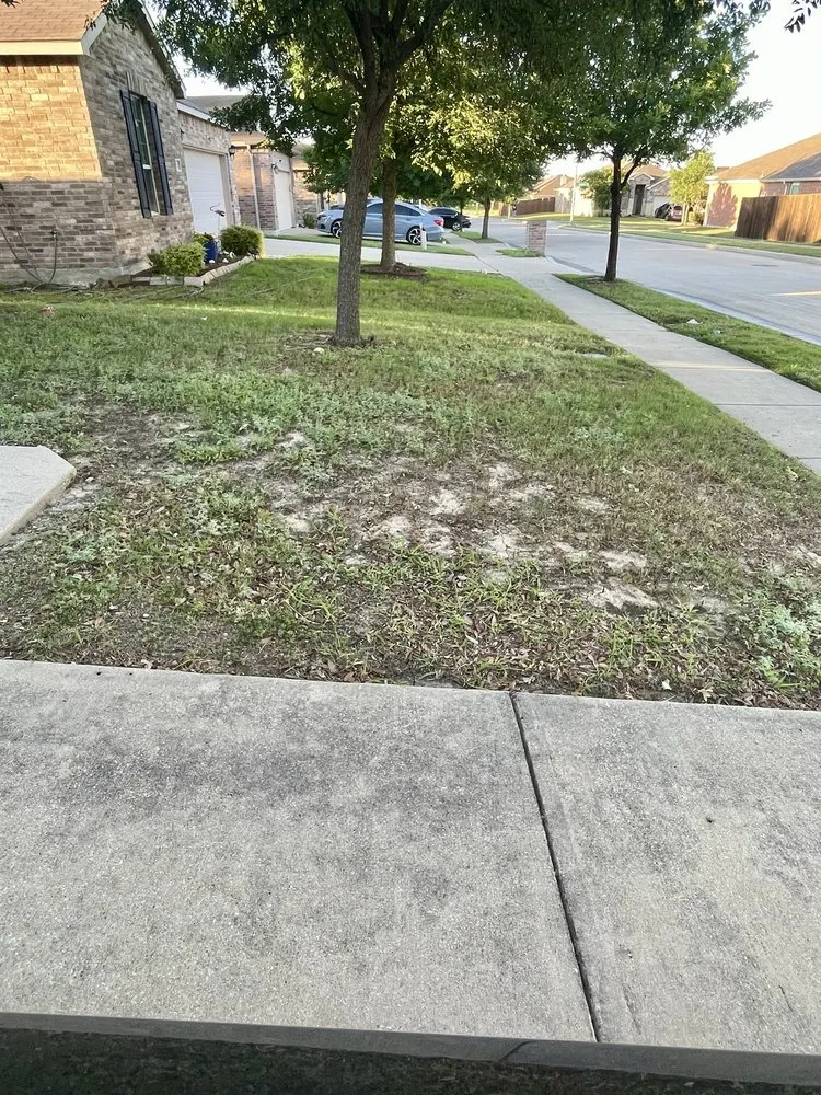 Top-rated outdoor landscaping in Fort Worth, TX by Worship Landscaping