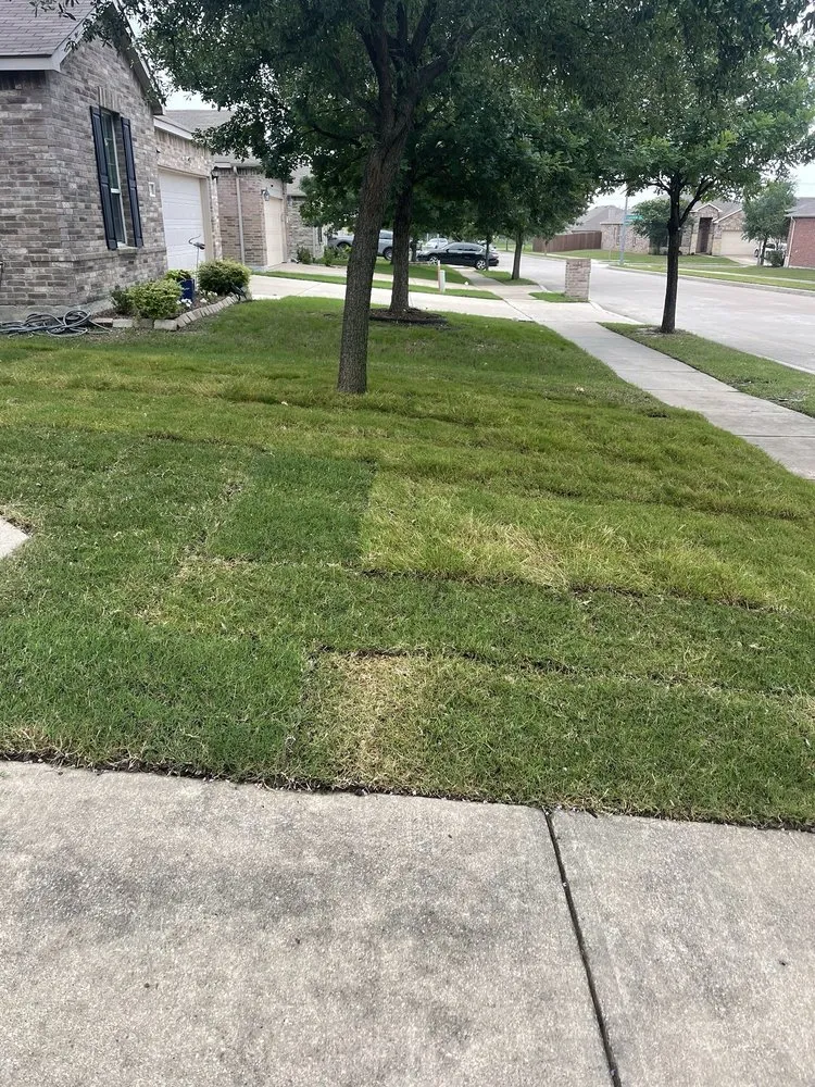 Professional landscape design for year-round maintenance in Fort Worth, TX by Worship Landscaping