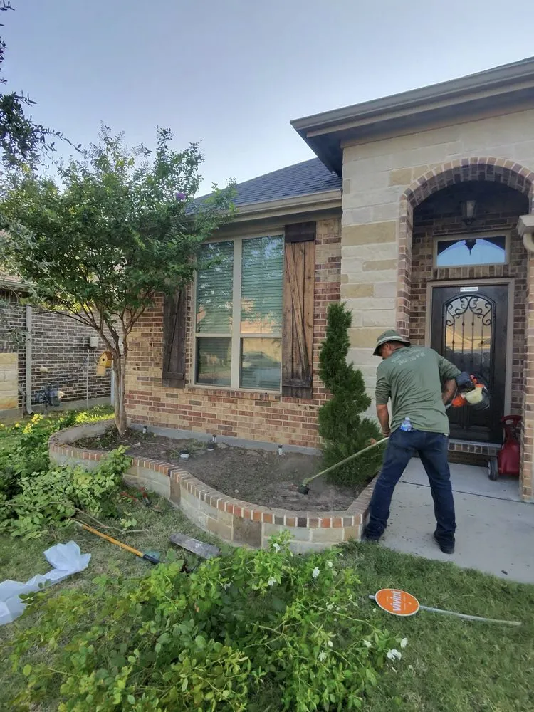 Top-rated lawn care service experts serving Fort Worth, TX - Worship Landscaping