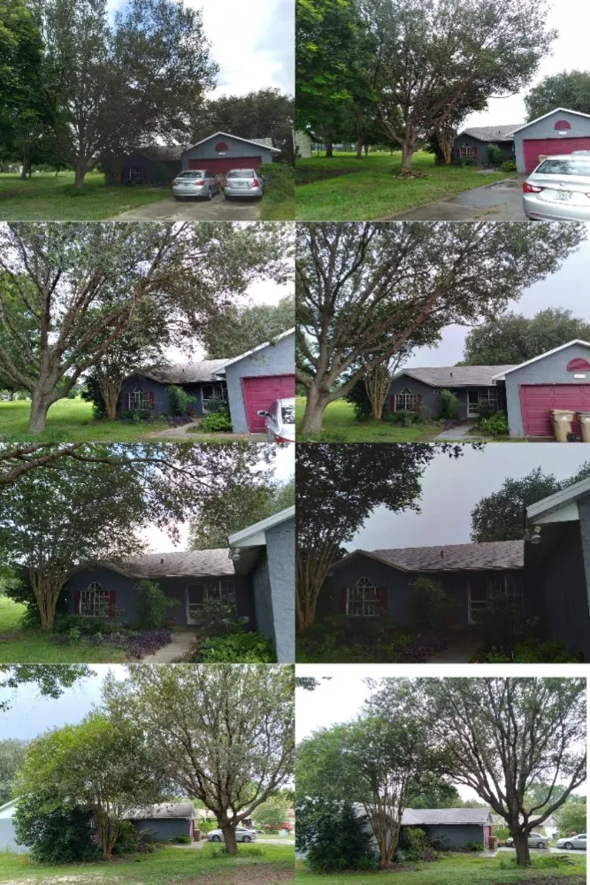 Local landscape installation for outdoor upgrades in The Villages, FL by Worthington & Associates Tree Services