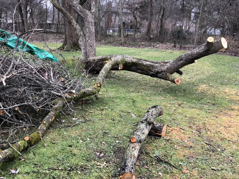 Custom landscape installation near you across Akron, OH - Worthy One Services