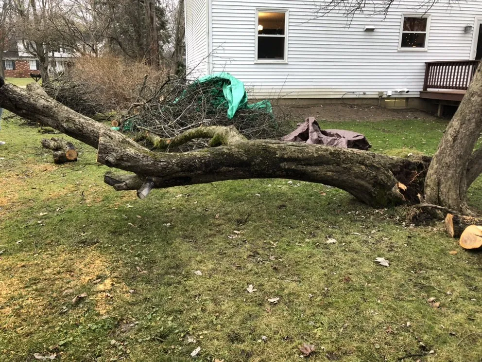 Expert garden landscaping near you in Akron, OH by Worthy One Services