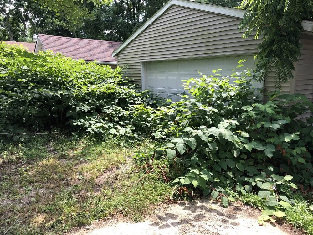 Trusted yard maintenance for outdoor upgrades in Akron, OH by Worthy One Services