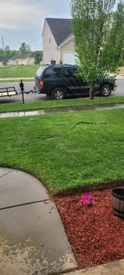 Wow Lawn Service Logo