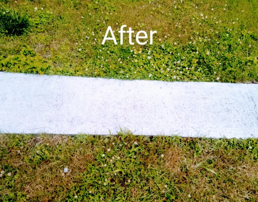 Expert lawn care service experts serving Roanoke, VA - WP Cowling