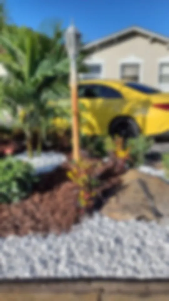 Top-rated lawn mowing service in Boca Raton, FL by WP Florida Landscaping Property & Services