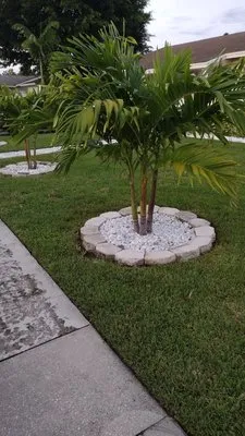 WP Florida Landscaping Property & Services Logo