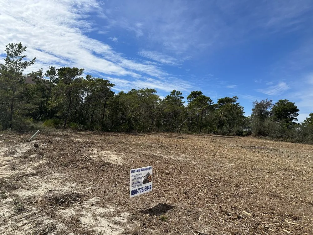 Local yard cleanup service for year-round maintenance across Pensacola, FL - WP Land Management