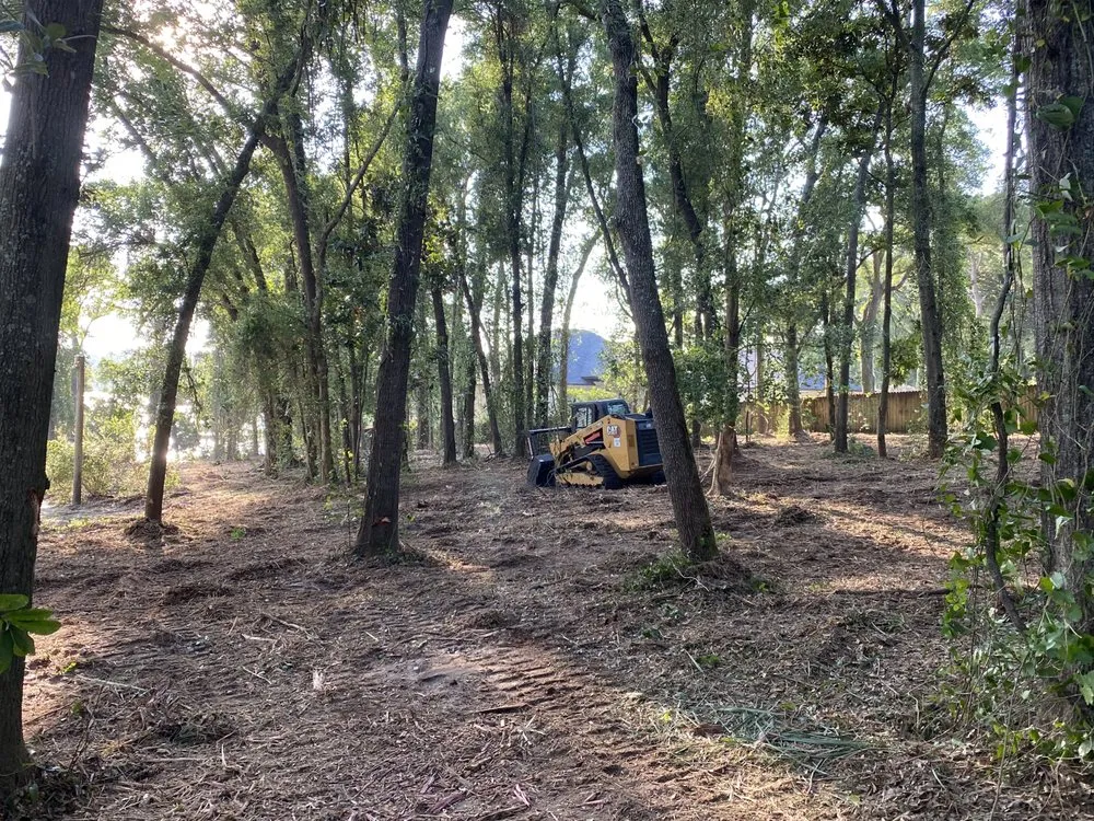 Professional yard cleanup service in Pensacola, FL by WP Land Management