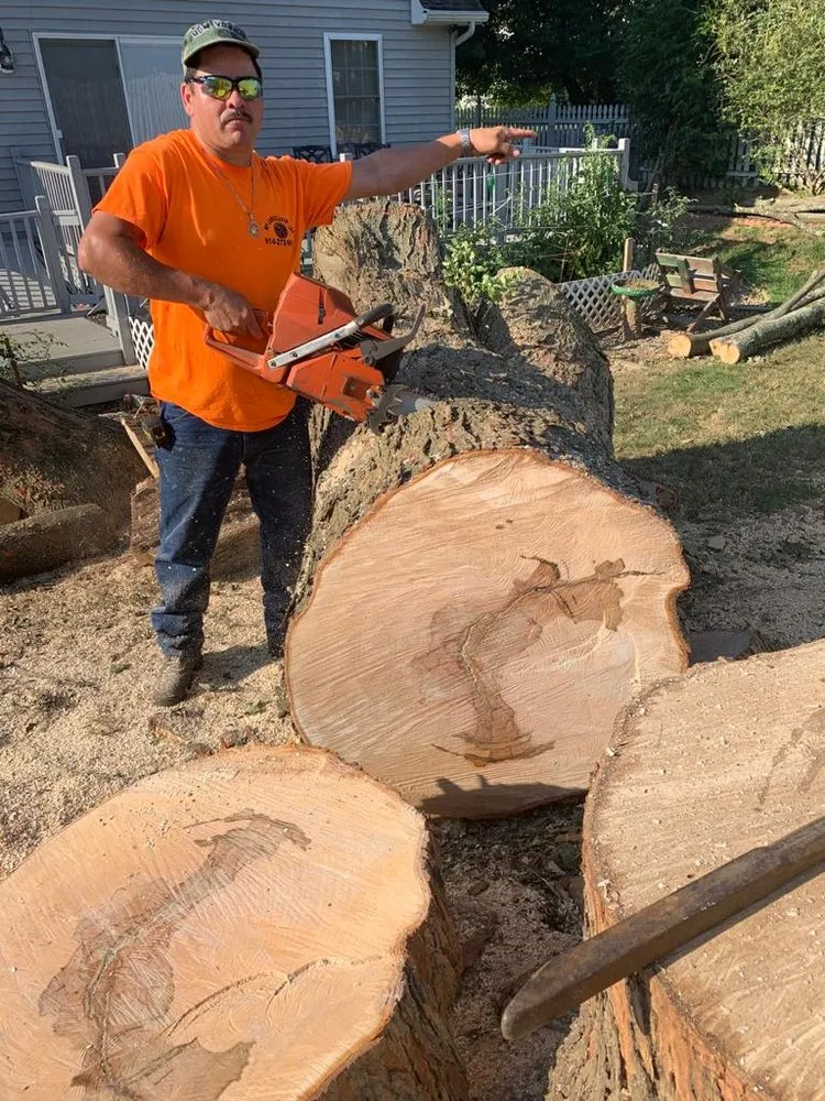 Expert outdoor landscaping for beautiful yards across Danbury, CT - WP Landscaping