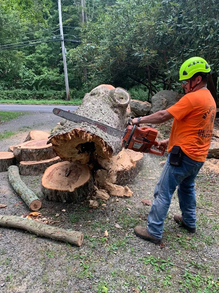 Expert landscaping services in Danbury, CT - WP Landscaping