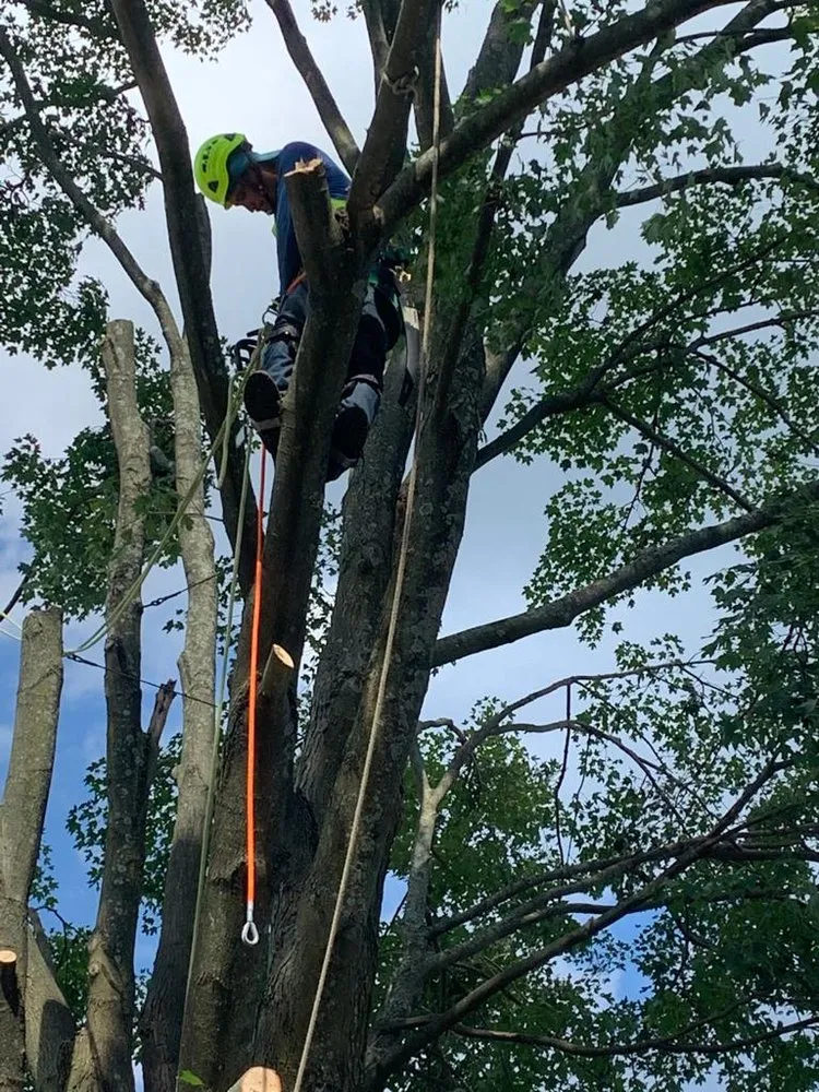 Custom outdoor landscaping experts serving Danbury, CT - WP Landscaping