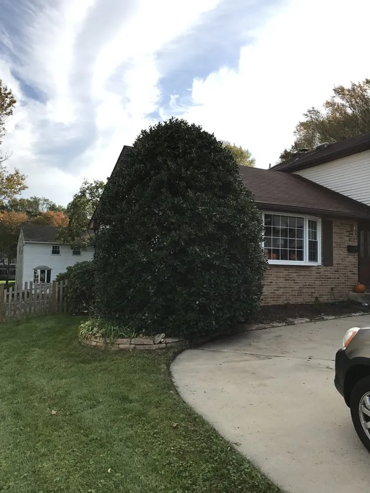 Expert yard cleanup service in Mount Laurel, NJ by WP Landscaping