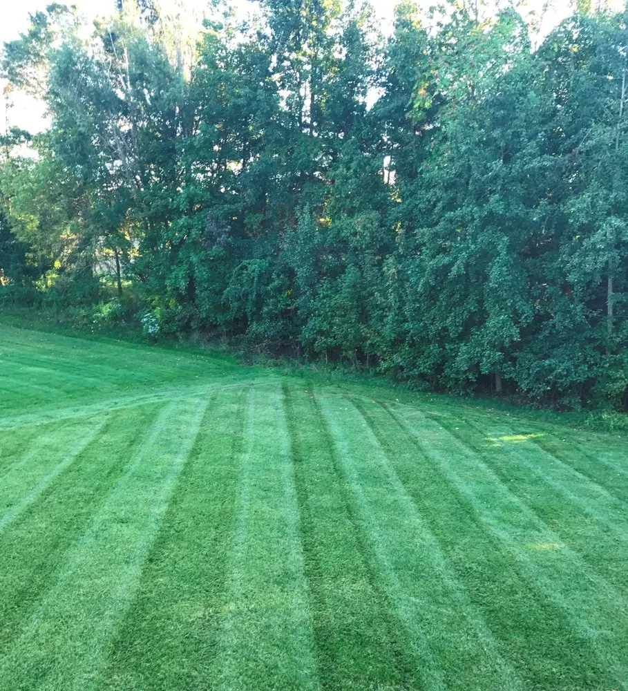 Professional yard maintenance experts serving Mount Laurel, NJ - WP Landscaping
