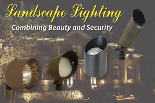 Top-rated landscape design experts serving Greenville, SC - WP Law