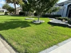 Trusted yard maintenance in Wildwood, FL by WP Property Services