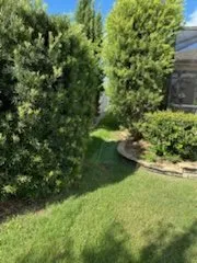 Expert yard cleanup service near you in Wildwood, FL by WP Property Services