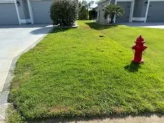 Local outdoor landscaping for outdoor upgrades in Wildwood, FL by WP Property Services