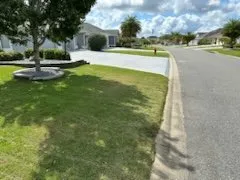 Professional yard cleanup service for outdoor upgrades across Wildwood, FL - WP Property Services