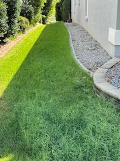 Custom landscape installation in Wildwood, FL by WP Property Services