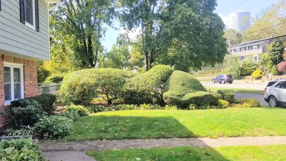 Affordable outdoor landscaping for year-round maintenance in Kingston, NY by WQ Home Improvement Construction & Garde