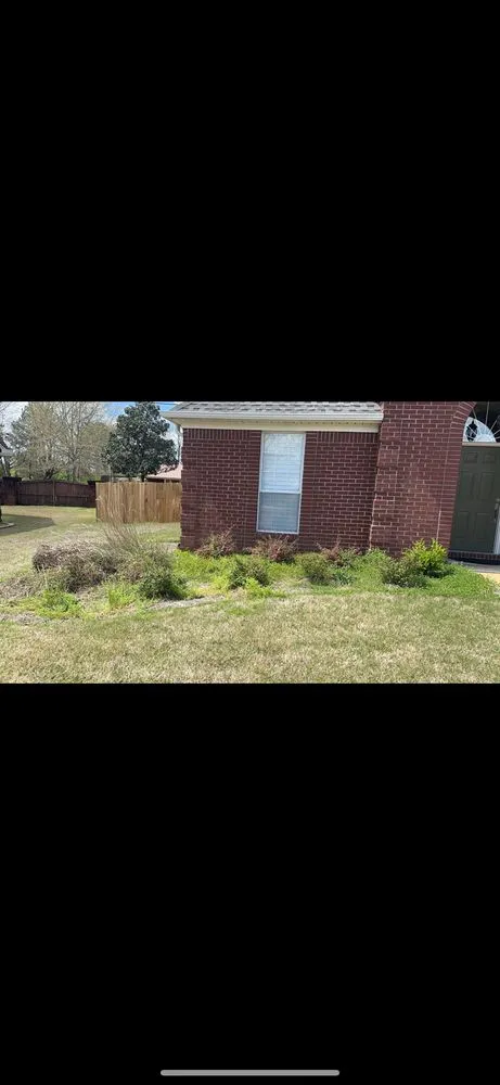 Affordable yard cleanup service in Fulton, MS - WR Lawn Care Services