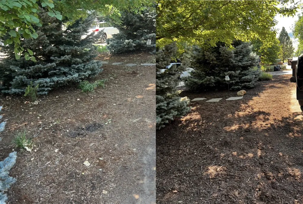 Trusted lawn care service experts serving Gilcrest, CO - Wrangler Services