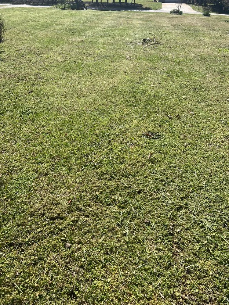 Custom landscape design for residential properties across Spartanburg, SC - Wray’s Lawn Care Services