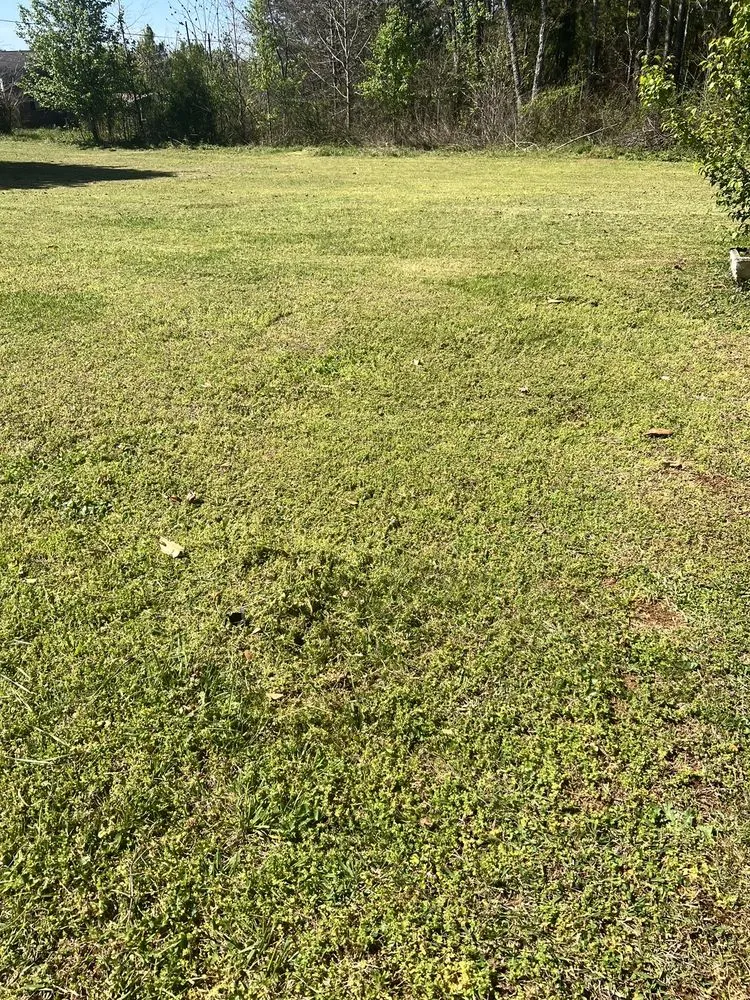 Top-rated outdoor landscaping experts serving Spartanburg, SC - Wray’s Lawn Care Services