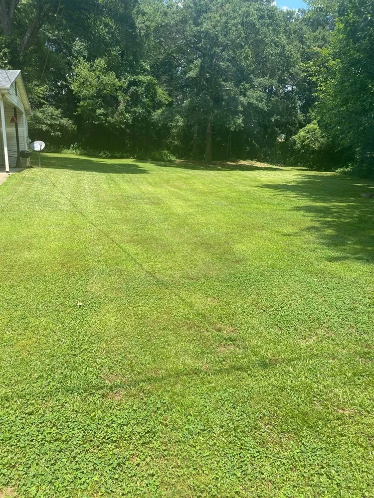 Affordable landscaping services in Spartanburg, SC - Wray’s Lawn Care Services