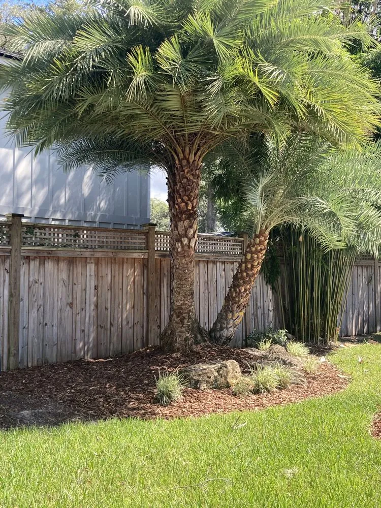 Trusted landscape installation in Tampa, FL by Wrede’s Landscaping