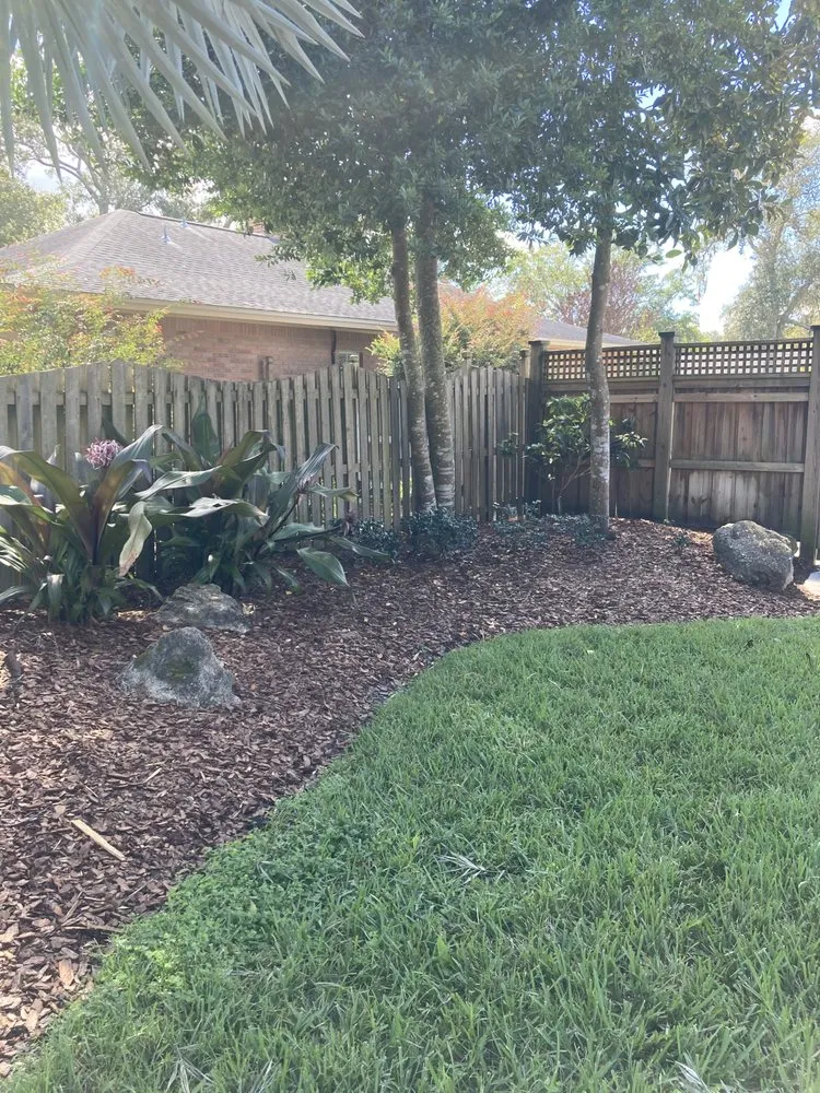 Top-rated yard cleanup service in Tampa, FL by Wrede’s Landscaping