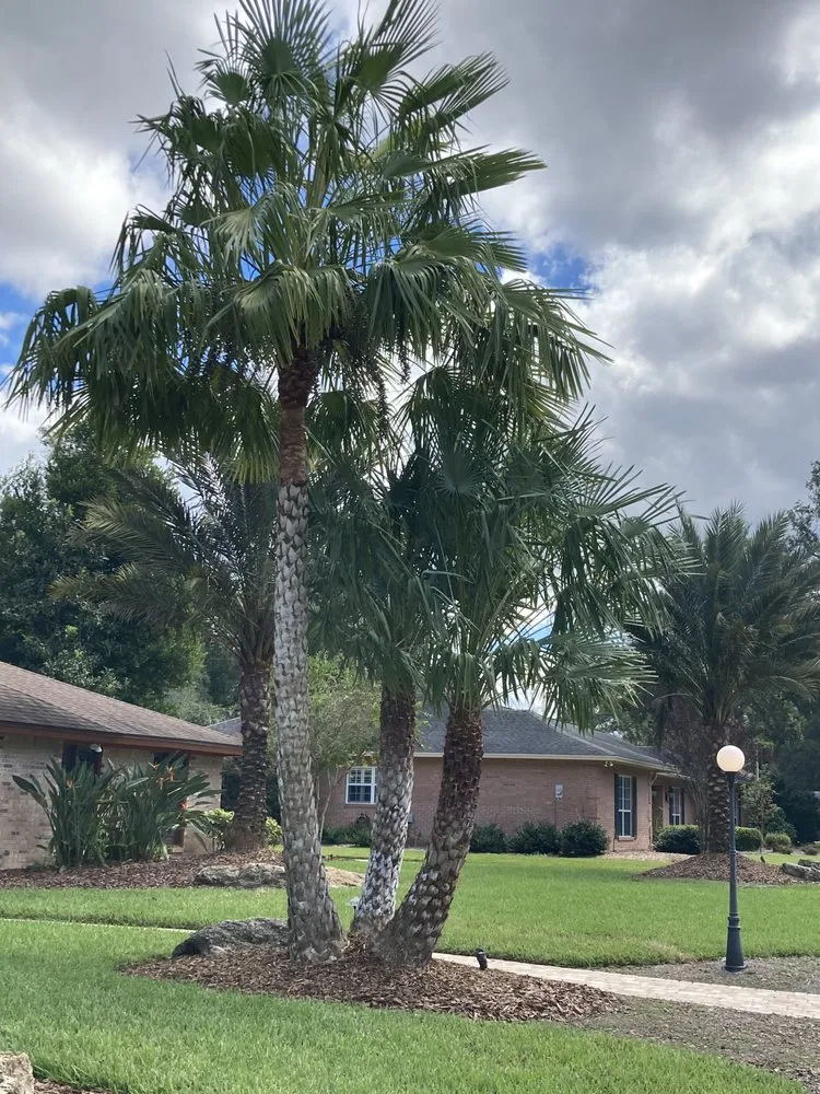 Custom outdoor landscaping in Tampa, FL - Wrede’s Landscaping