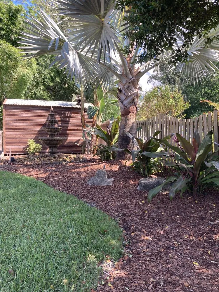 Local yard cleanup service for year-round maintenance in Tampa, FL by Wrede’s Landscaping