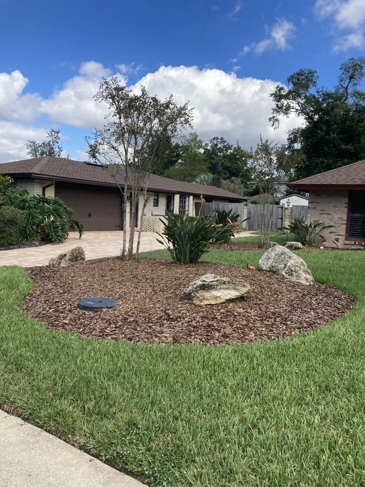 Trusted yard cleanup service in Tampa, FL - Wrede’s Landscaping