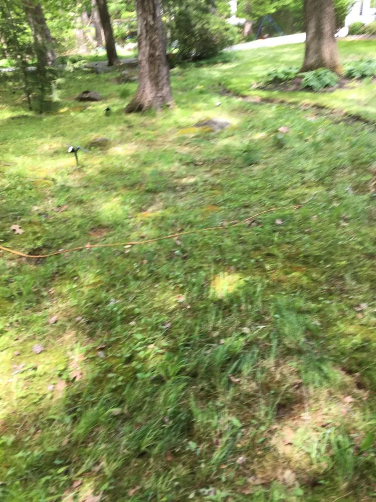 Affordable landscaping services in Keene, NH - WRF Landscaping