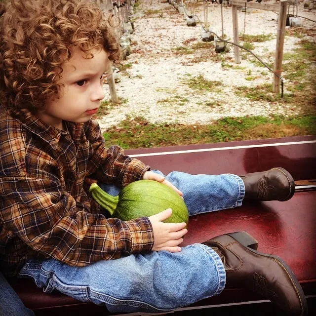 Custom landscaping services in Valparaiso, IN - WRF Nursery & Garden Center