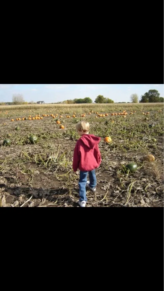 Custom yard maintenance for residential properties in Valparaiso, IN by WRF Nursery & Garden Center