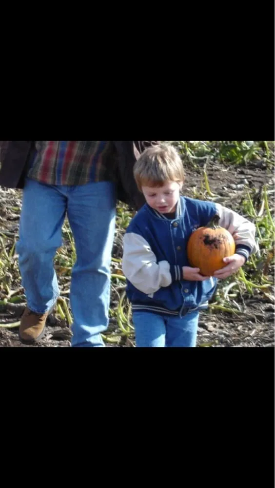 Top-rated landscaping services experts serving Valparaiso, IN - WRF Nursery & Garden Center