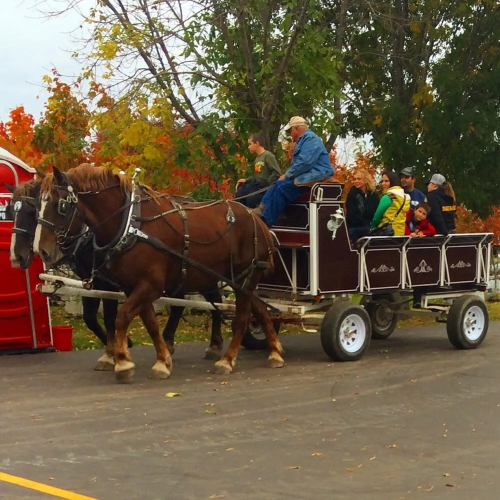 Trusted lawn care service for beautiful yards across Valparaiso, IN - WRF Nursery & Garden Center